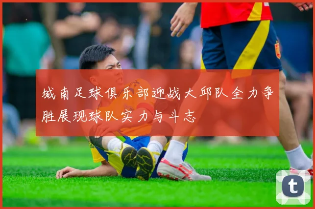 城南足球俱乐部迎战大邱队全力争胜展现球队实力与斗志