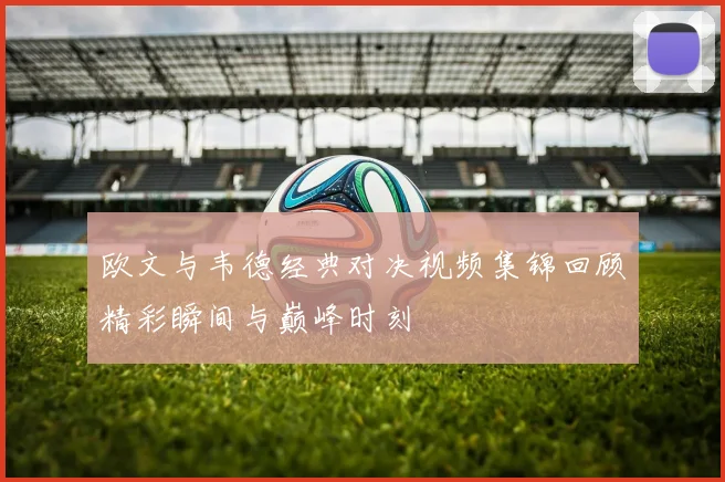 欧文与韦德经典对决视频集锦回顾精彩瞬间与巅峰时刻