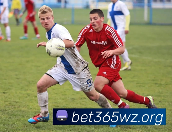 bet365体育APP 封面图