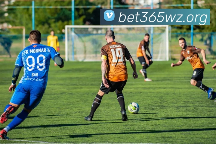 bet365体育APP 封面图